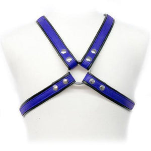 Leather Harness With Stripes