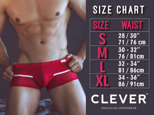 Clever 5337 Sparkies Piping Briefs Color Gray