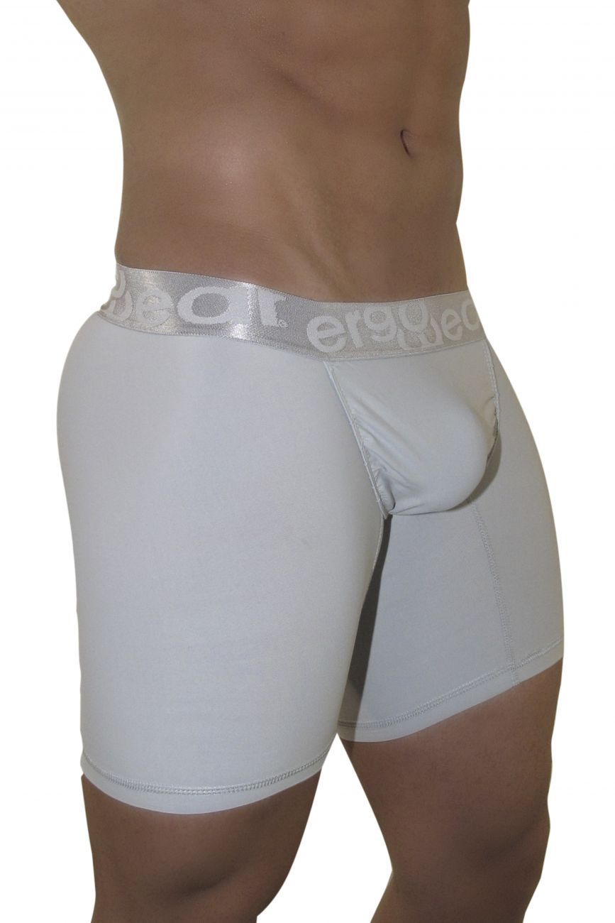 ErgoWear EW0842 FEEL XV Chrysler Trunks Color Silver